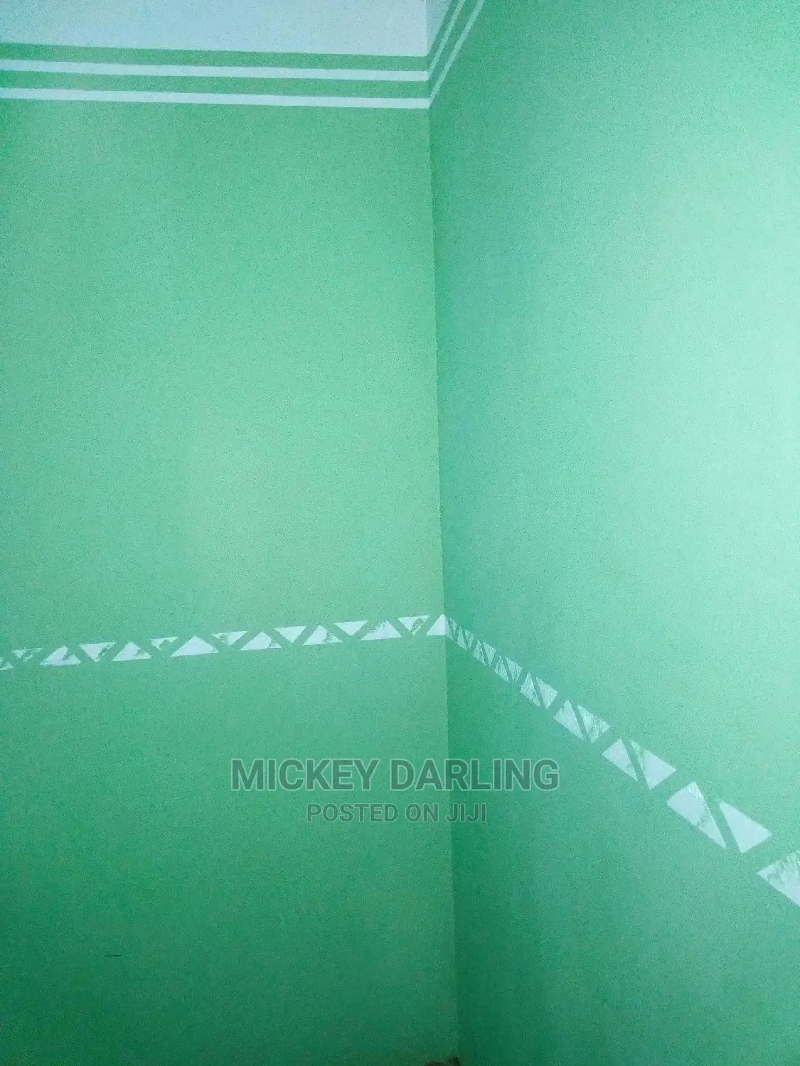Professional Painter and Wallpaper Expert