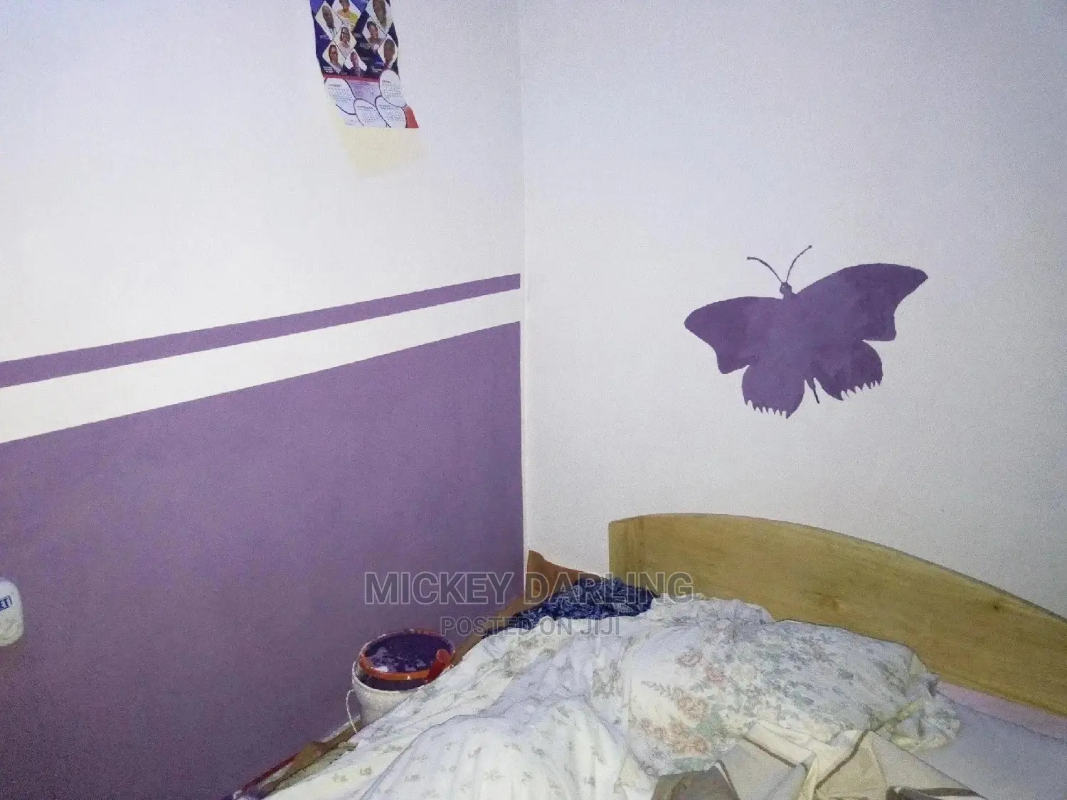 Professional Painter and Wallpaper Expert