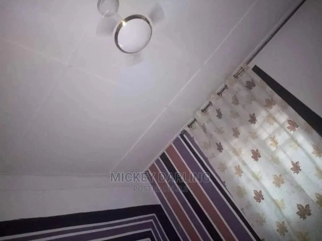 Professional Painter and Wallpaper Expert
