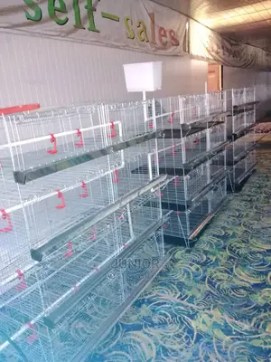 Day Old / Chick Cages