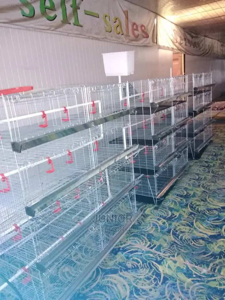 Day Old / Chick Cages