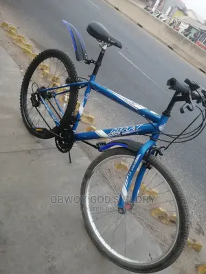 Speedicus Bicycle