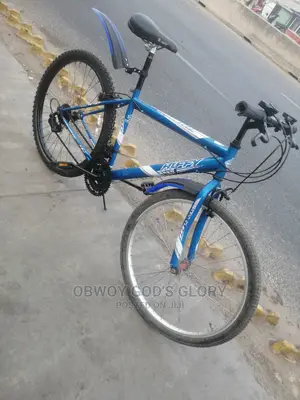Speedicus Bicycle