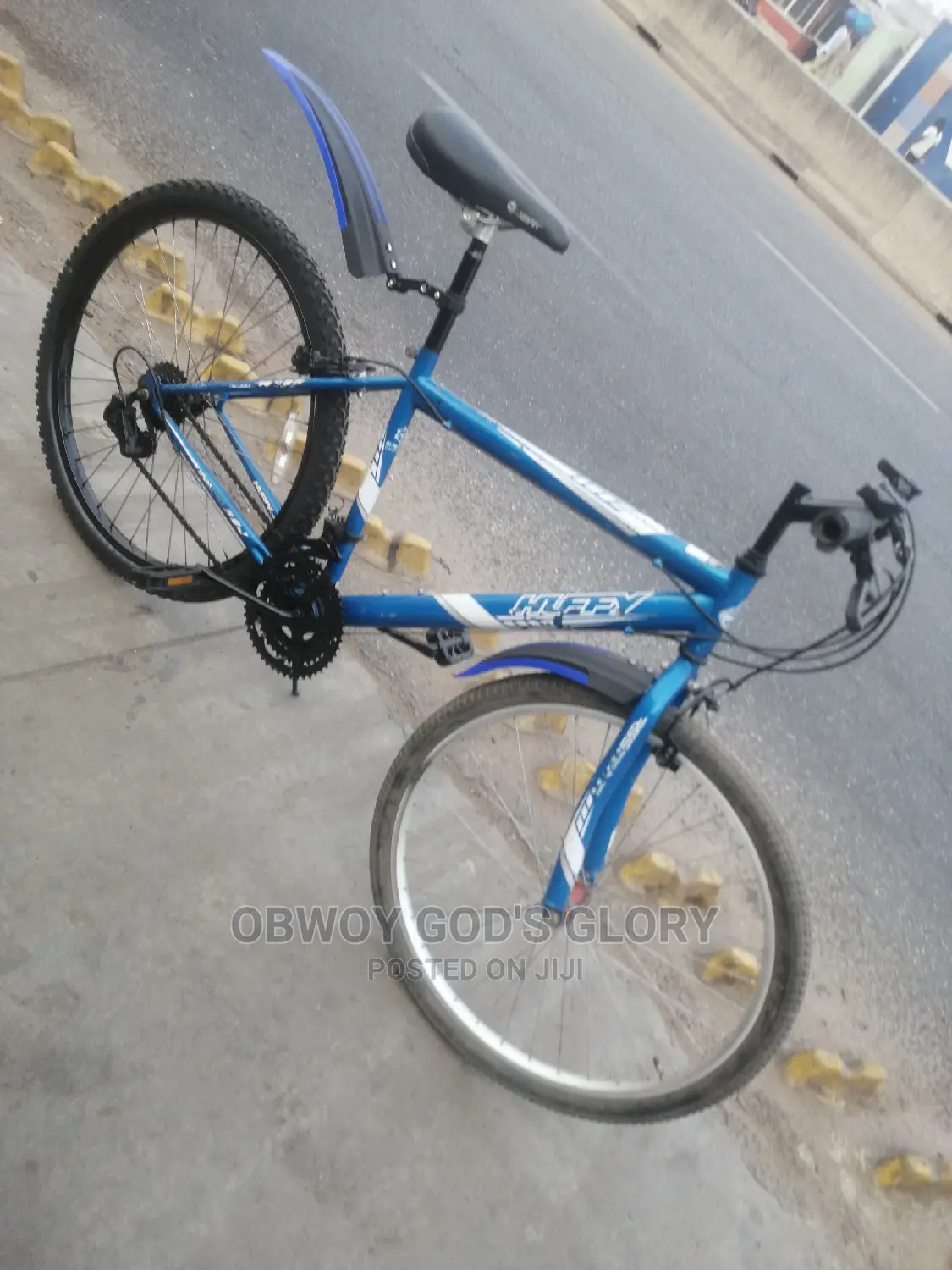 Speedicus Bicycle