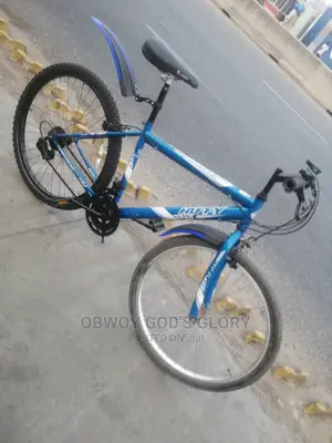 Speedicus Bicycle