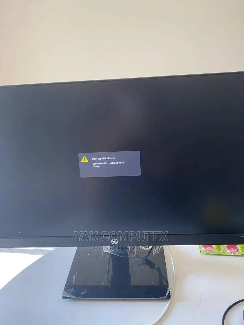Dell 24 Inch Monitor