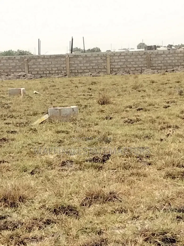 A Developing and Registered Land for Sale at Tsopoli