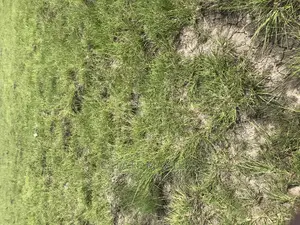 Affordable Lands Available for Sale.