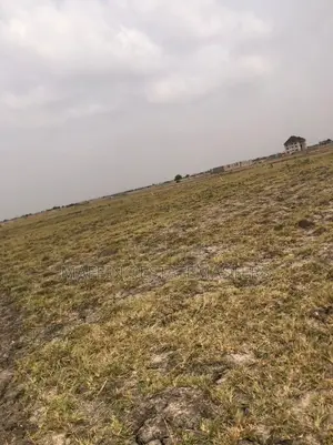 A Vast and Well Demarcated Land for Sale at Tsopoli