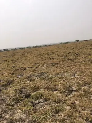 A Titled Land for Sale at Tsopoli Kings Cottage Anex