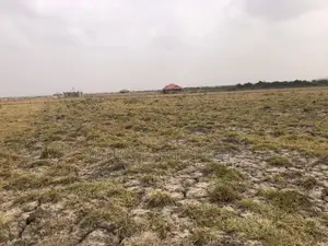 A Well Serviced and Demarcated Plots for Sale at Tsopoli