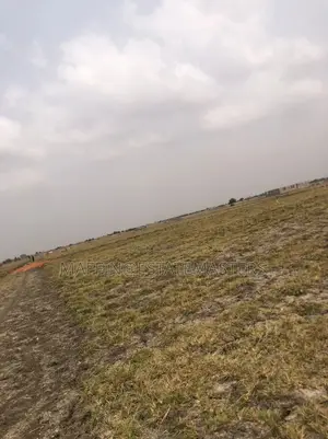 Donkomi Discount Prices on Tsopoli Lands