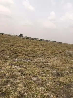 Extremely Beautiful Plots Fir Sale at DOMINASE (Kasoa)
