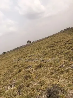 A Litigation Free Land on Promo for Sale at Tsopoli