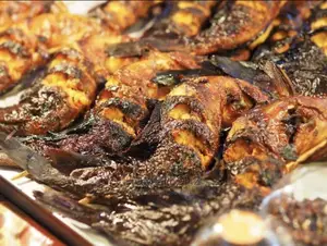 Your Compound Home Fish Business