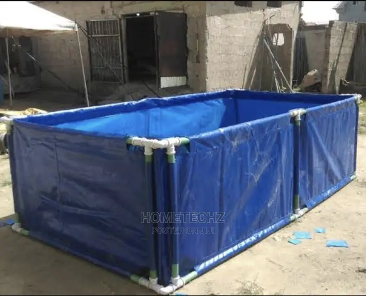 Your Compound Home Fish Business