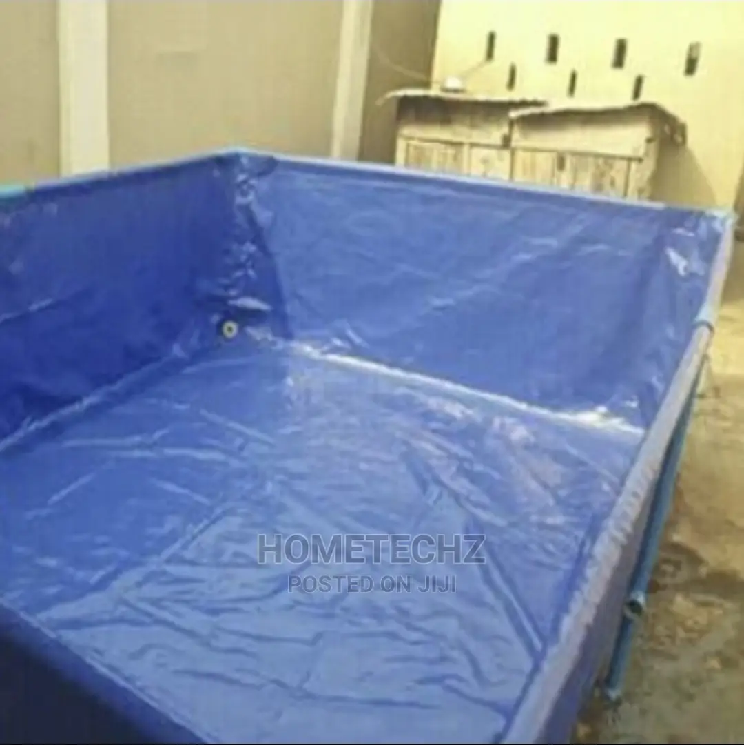 Your Compound Home Fish Business