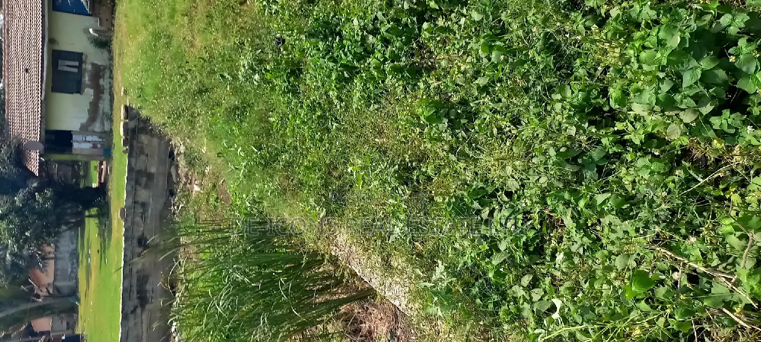 Sea -View 4 Plots of Business Land for Sale