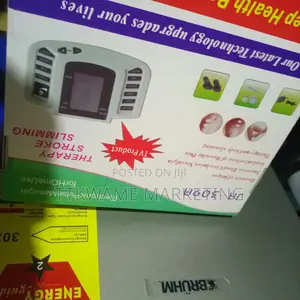 Electronic Pulse Massager