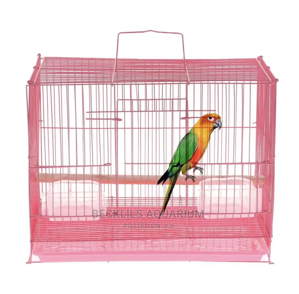 Big Cages for Big Bird