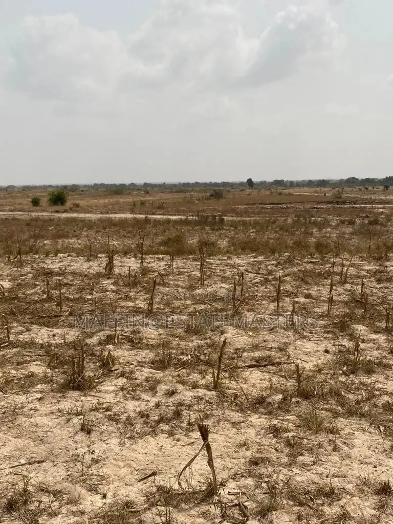 Real Discount on Serviced Estate Plots for Sale at Tsopoli