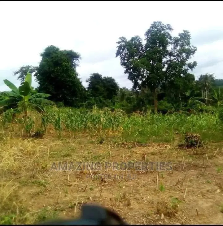 550 Acres at Nsawam Accra Kumasi New Highway,Is
