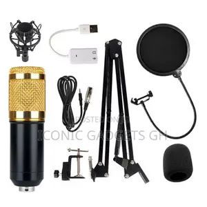 Brand New BM-800 Professional Condenser Microphone