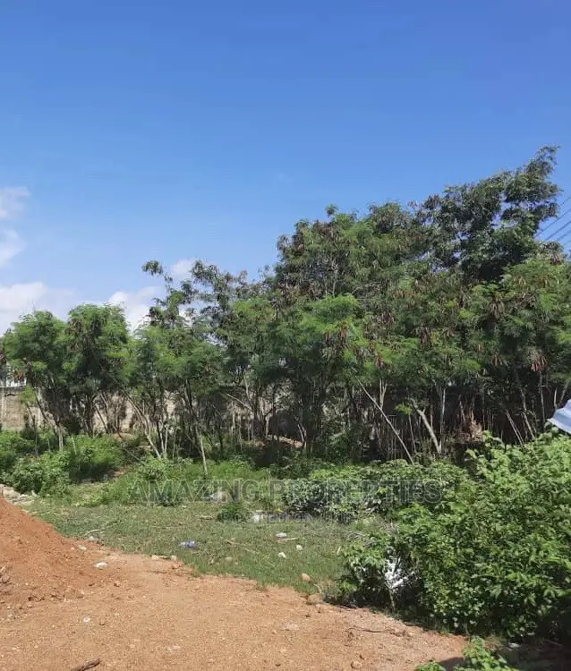 12 Plots of Land Along the Tema Motorway