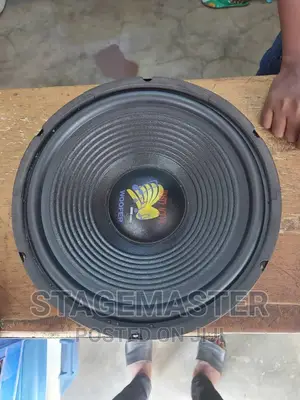 12 Inches Naked Speaker