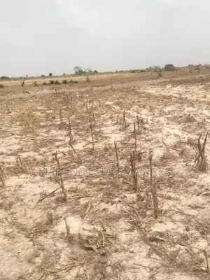 A Graded Estate Plots for Sale at Prampram