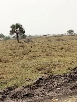 Very Affordable Estate Plots for Sale