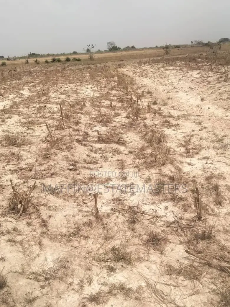 A Lastful Land for Sale