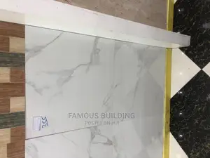 60/60 Floor Tiles (India )