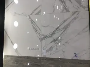 60/60 Floor Tiles (India )