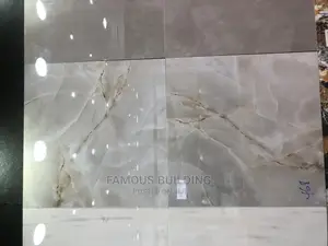 60/60 Floor Tiles (India )