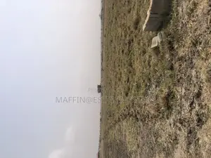 A Developing Estate Plot of Land for Sale