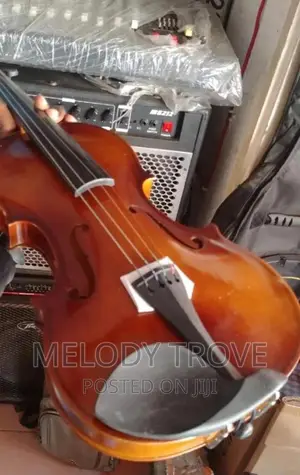 4 by 4 Violin
