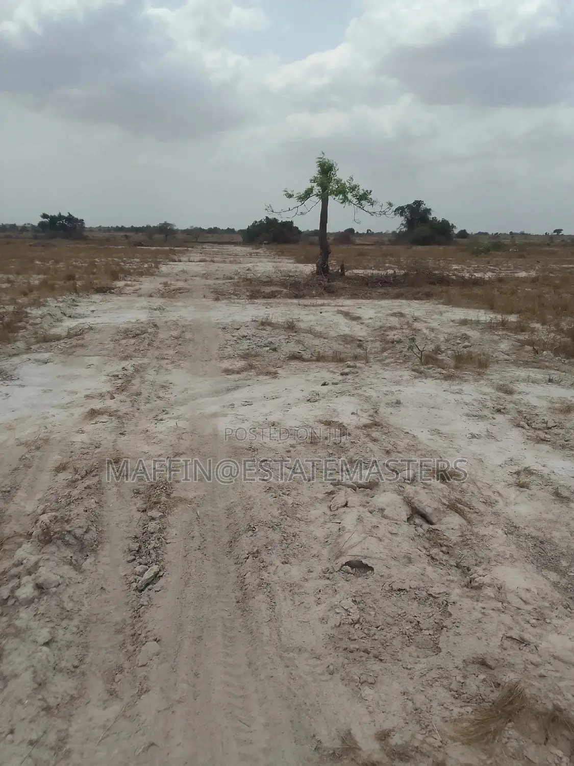 Demarcated and Titled Estate Plots Ofr Sale at Tsopoli