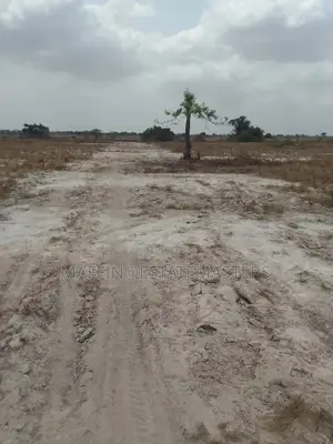 Demarcated and Titled Estate Plots Ofr Sale at Tsopoli