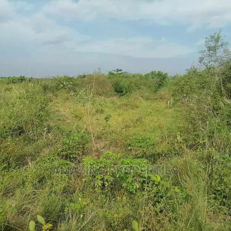 6,000 Acres of Farmland for Sale at Asamankese Quarshie