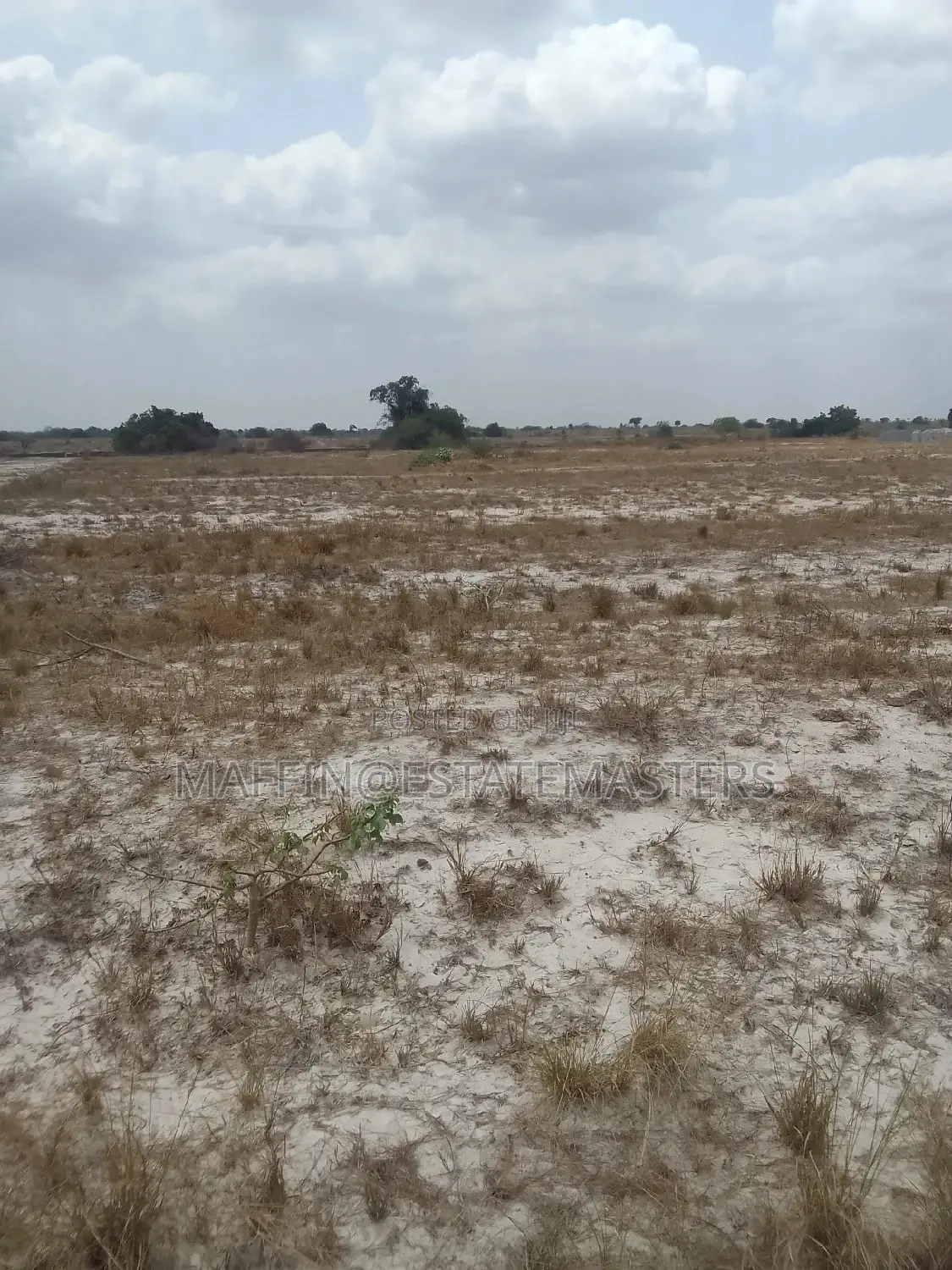 Land for Sale at Luxurious Location at Tsopoli (Bueko)