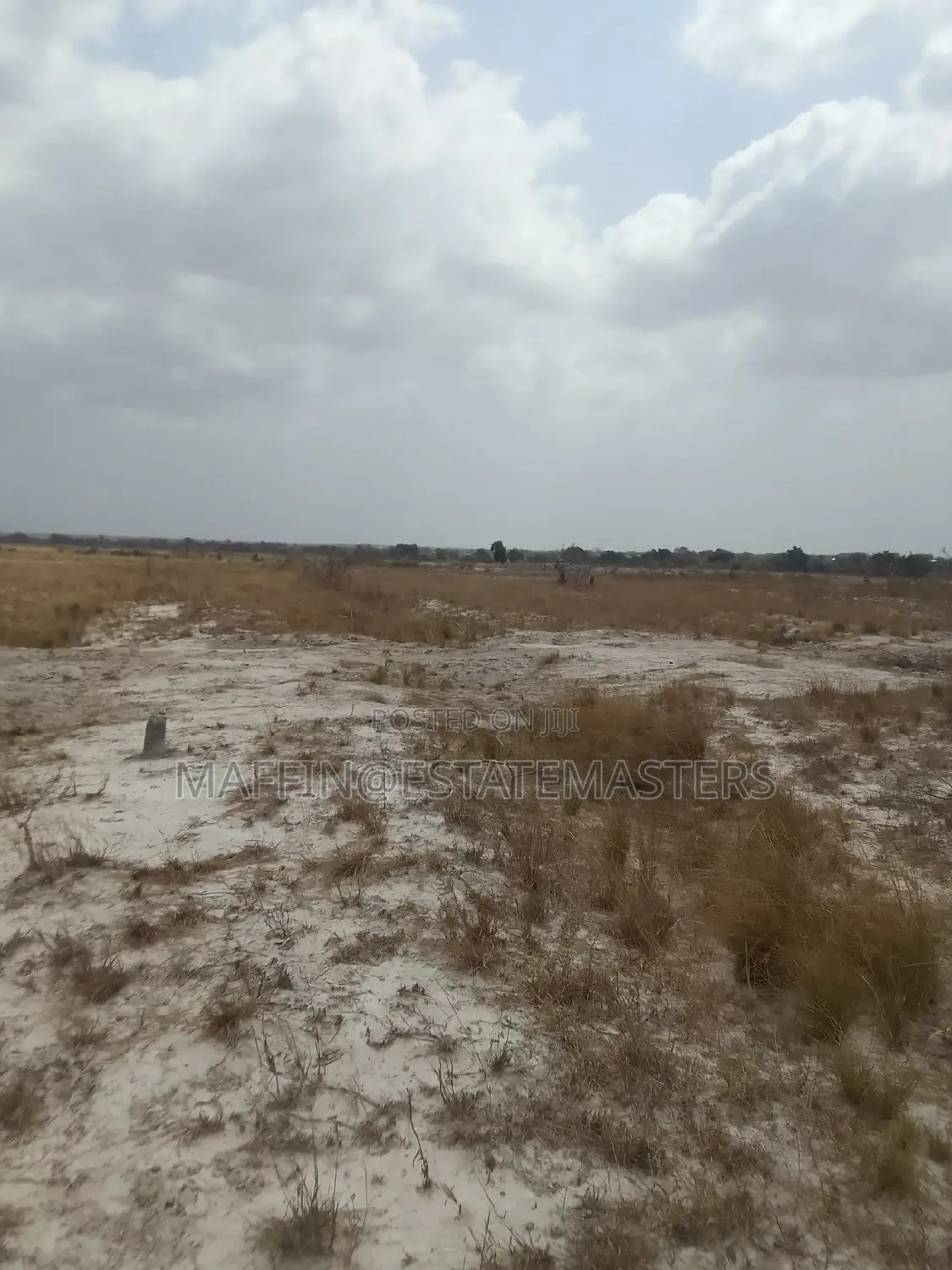 Land for Sale at Luxurious Location at Tsopoli (Bueko)