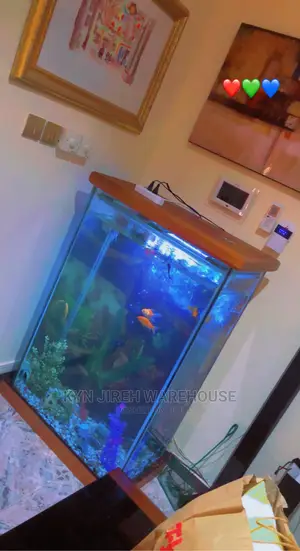 Mr. Scott Aquarium With Fishes