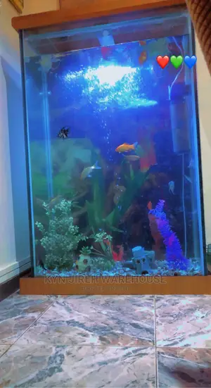 Mr. Scott Aquarium With Fishes