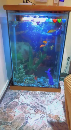 Mr. Scott Aquarium With Fishes