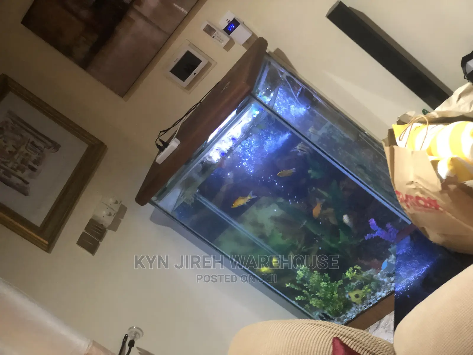 Mr. Scott Aquarium With Fishes