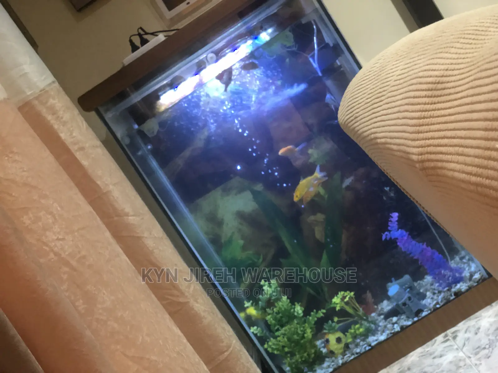 Mr. Scott Aquarium With Fishes
