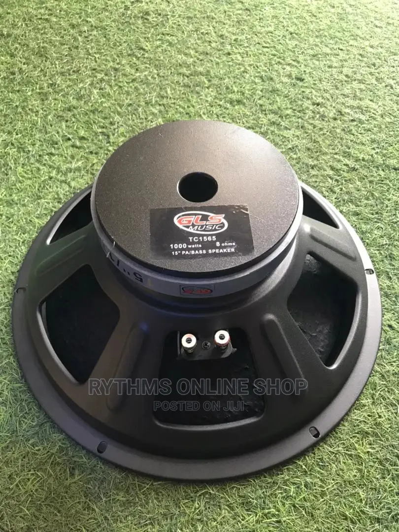 15" Naked Speaker (GLS)