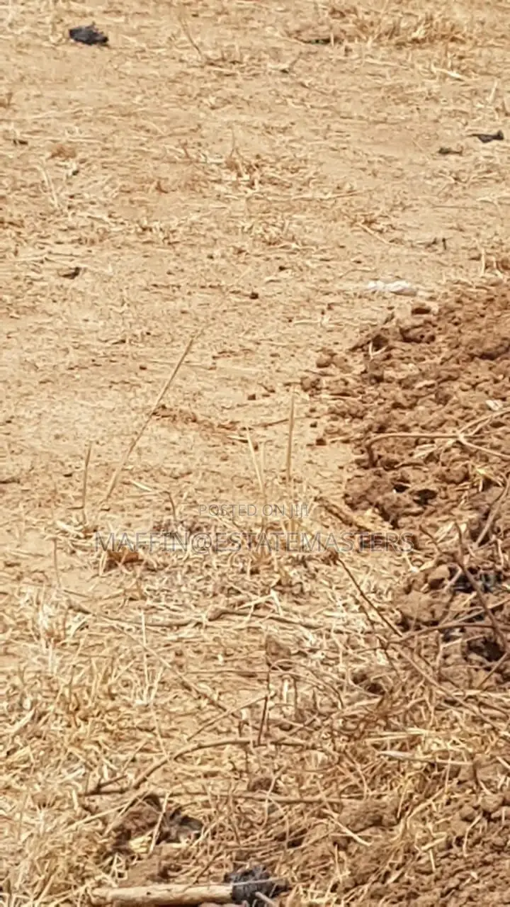 Eye Catching Land for Sale at Tsopoli Kings Cottage Anex