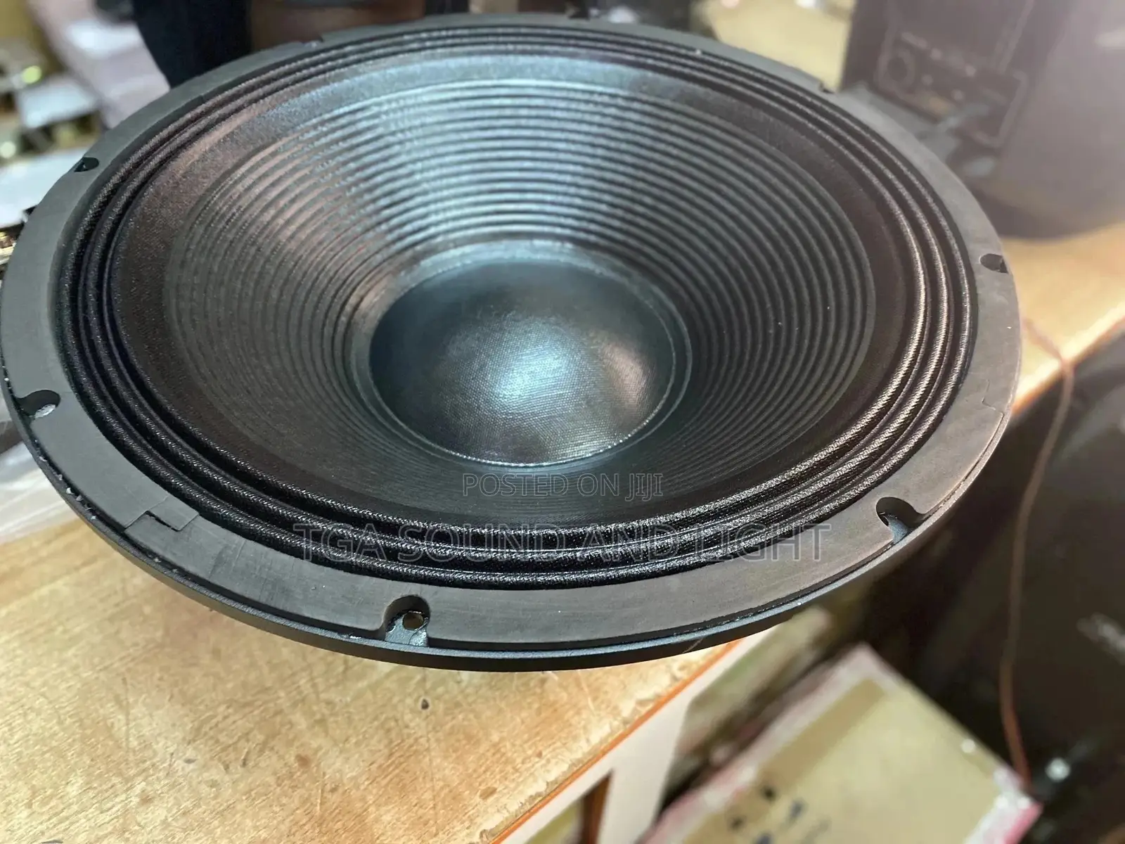 JLD-PW12101-10 12” 1100watts PA Speakers